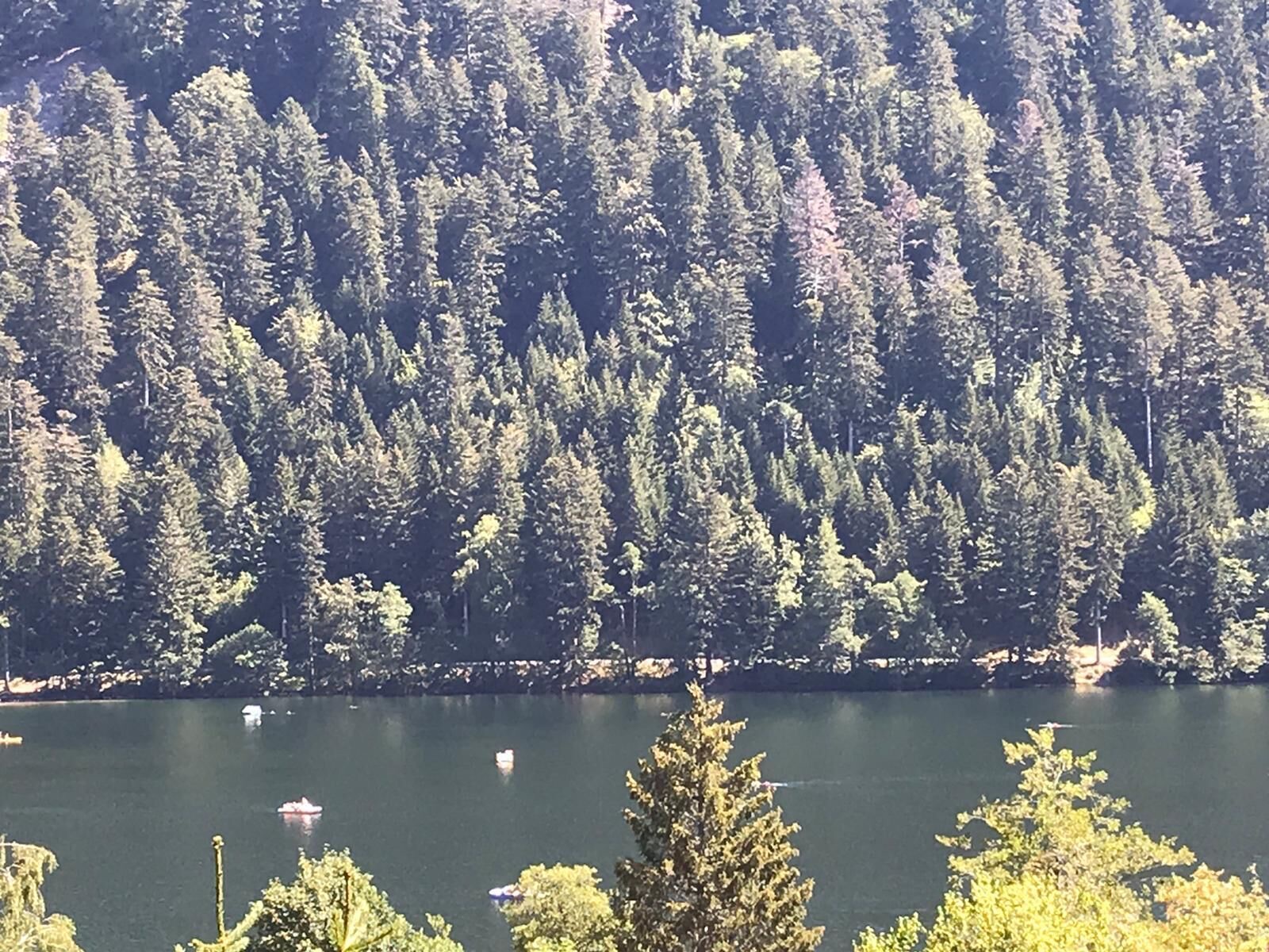 Vue depuis la terrasse du chalet
