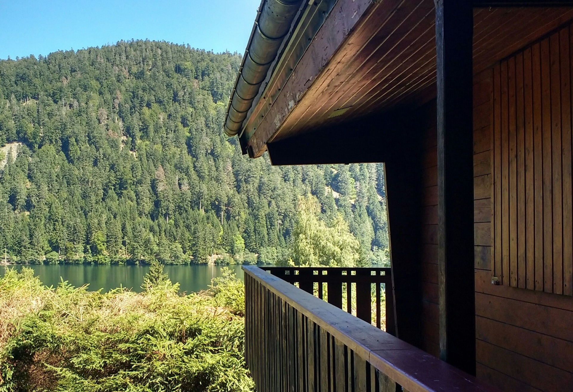 Vue sur le lac de Longemer