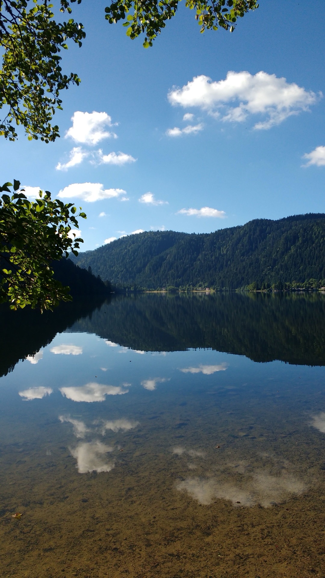 Lac de Longemer