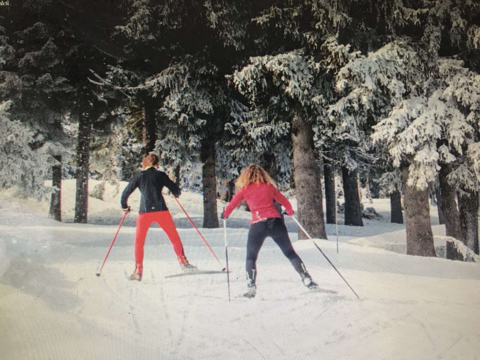 Sports d'hiver