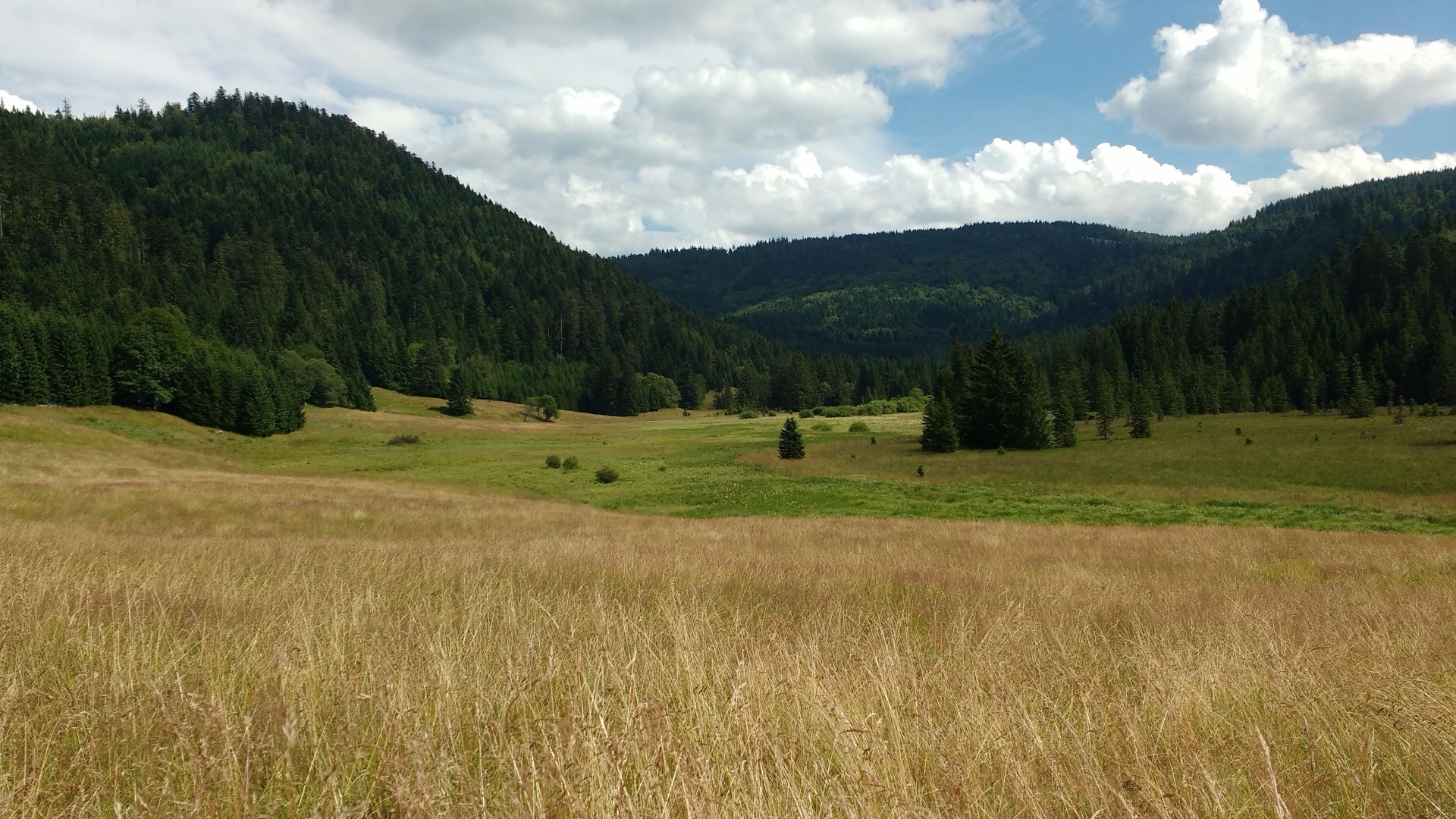 Randonnée près du chalet