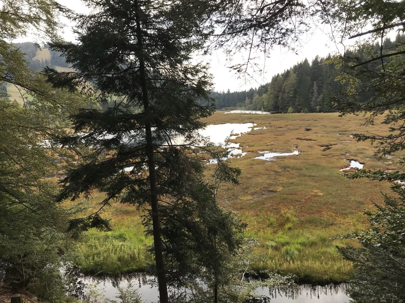 Lac de Lispach (20 min de randonnée)